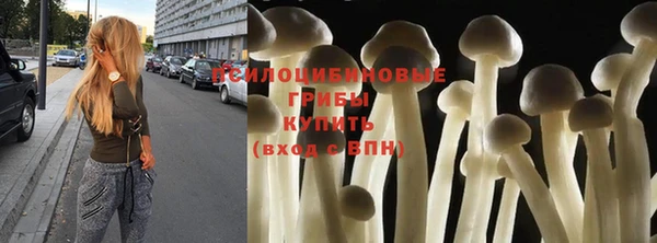 стафф Елизово