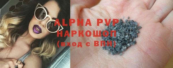 стафф Елизово
