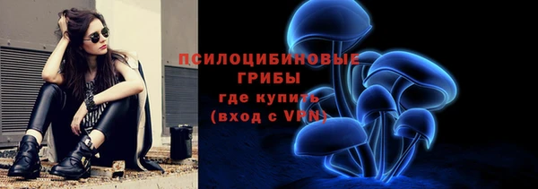 ПСИЛОЦИБИНОВЫЕ ГРИБЫ Елабуга
