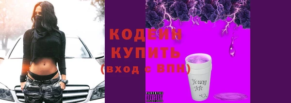 стафф Елизово