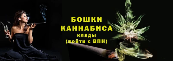 ПСИЛОЦИБИНОВЫЕ ГРИБЫ Елабуга