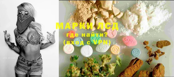 ПСИЛОЦИБИНОВЫЕ ГРИБЫ Елабуга