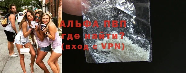стафф Елизово