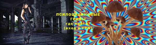 амфетамин Ельня