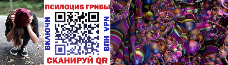 где продают наркотики  Новохопёрск  Псилоцибиновые грибы Magic Shrooms 